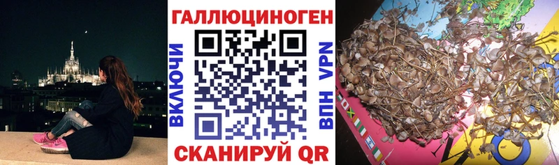 где можно купить наркотик  Сафоново  ОМГ ОМГ вход  Галлюциногенные грибы мицелий 